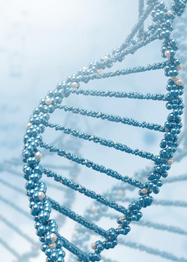 desktop_whatispolg-1